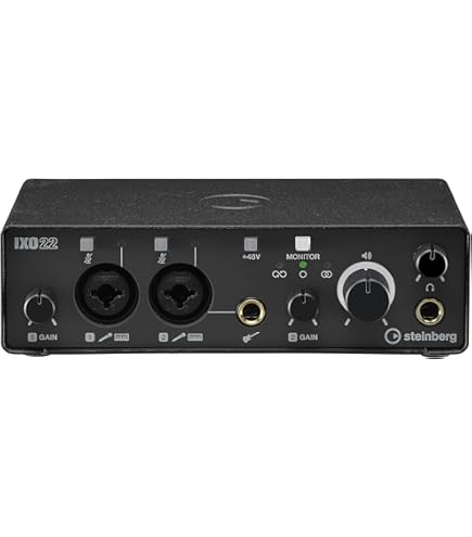 Amazon.com: Steinberg UR22C 2x2 USB 3.0 Audio Interface with