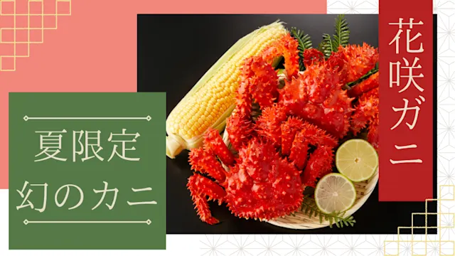 花咲ガニとは？夏に根室でしか穫れない幻の希少ガニの魅力を徹底｜高級