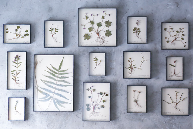 モリソン小林 「鉄の花 鉄の草」 （LIBRAIRIE6 / シス書店） ｜Tokyo