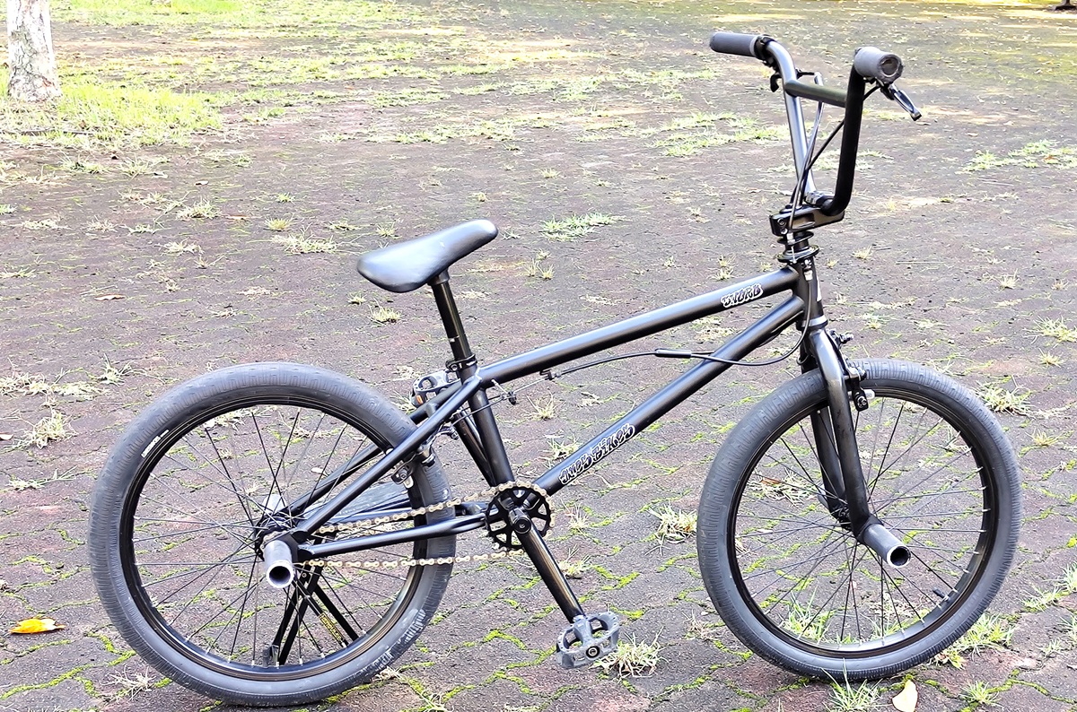 BMX ARES アシュラ アーレスバイク アシュラ 20インチBMX