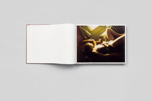 Balthus – The Last Studies / €480.00