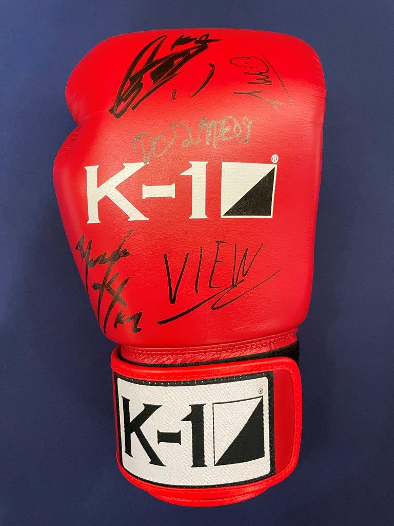 K-1 アマチュア グローブ トレーニンググローブ 16oz – K-1.SHOP