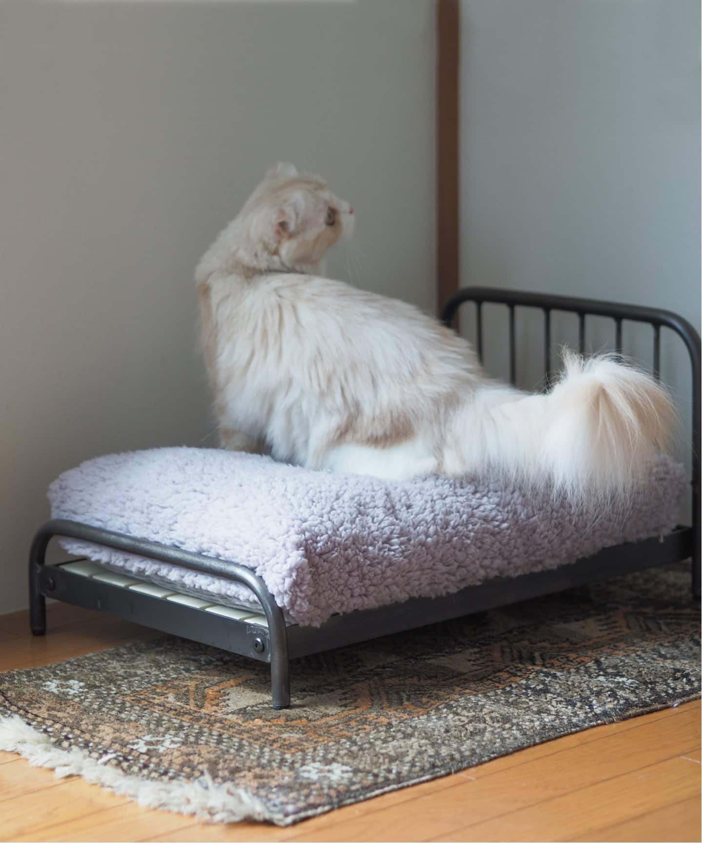 SENS BED for CAT ペット ベッド（ベッド）｜JOURNAL STANDARD