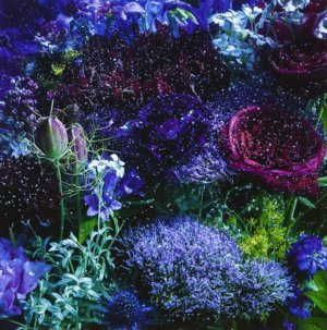 0b3e7eadbe4256dec23fbdd14f3258