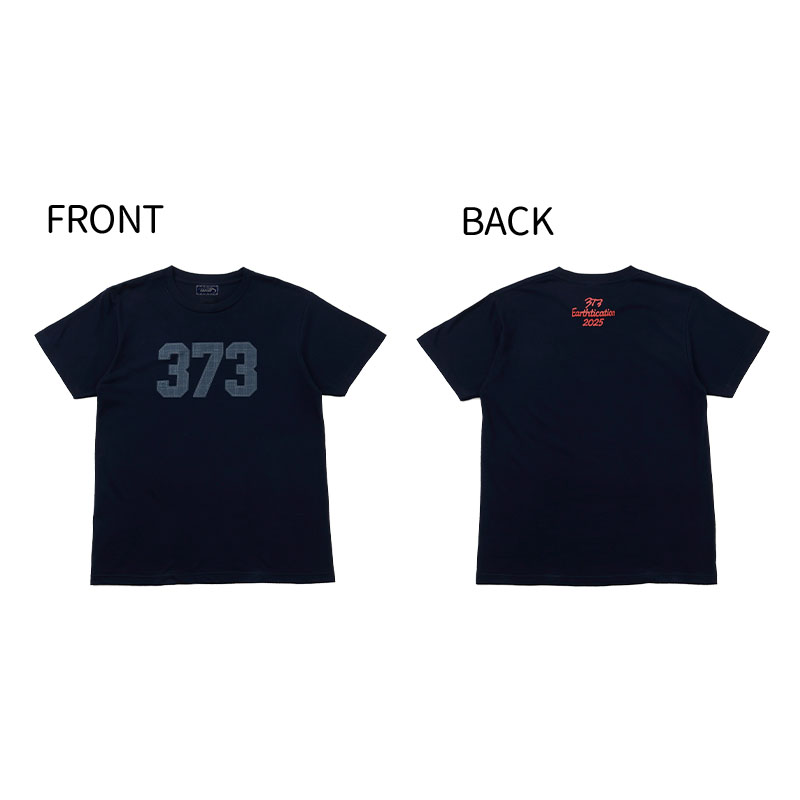 美波TEAM373フラッグ