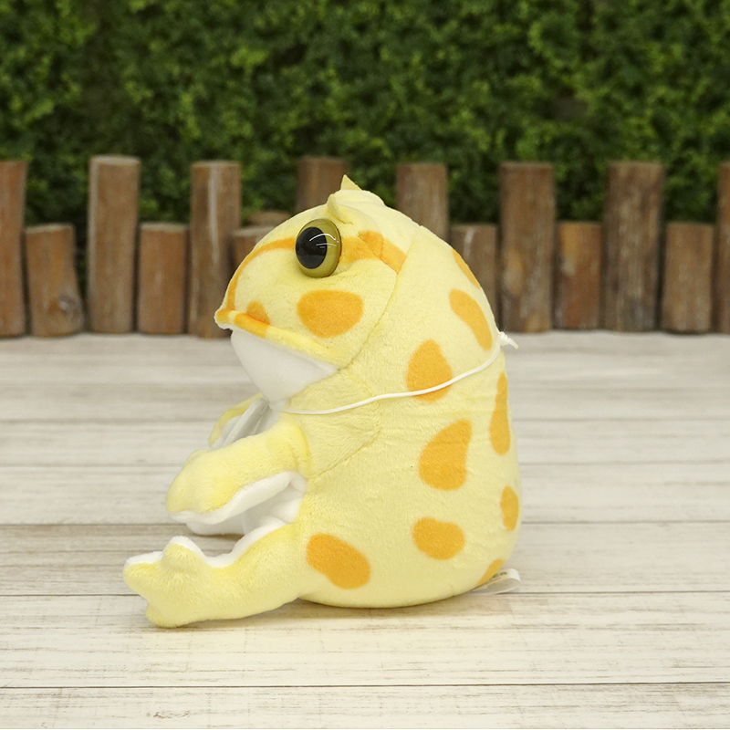 picnica ツノガエル【サン・アロー公式オンラインショップ】