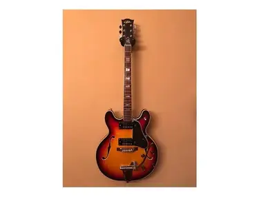 Aria FE-60 Elecord - What To Know & Where To Buy | Equipboard