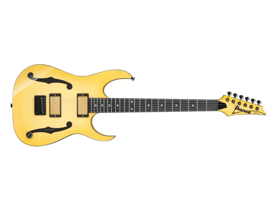 Ibanez PGM1000T Paul Gilbert Signature - What To Know & Where To