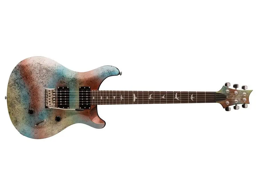 PRS SE Standard 24 with Birds, Multi Foil - What To Know & Where