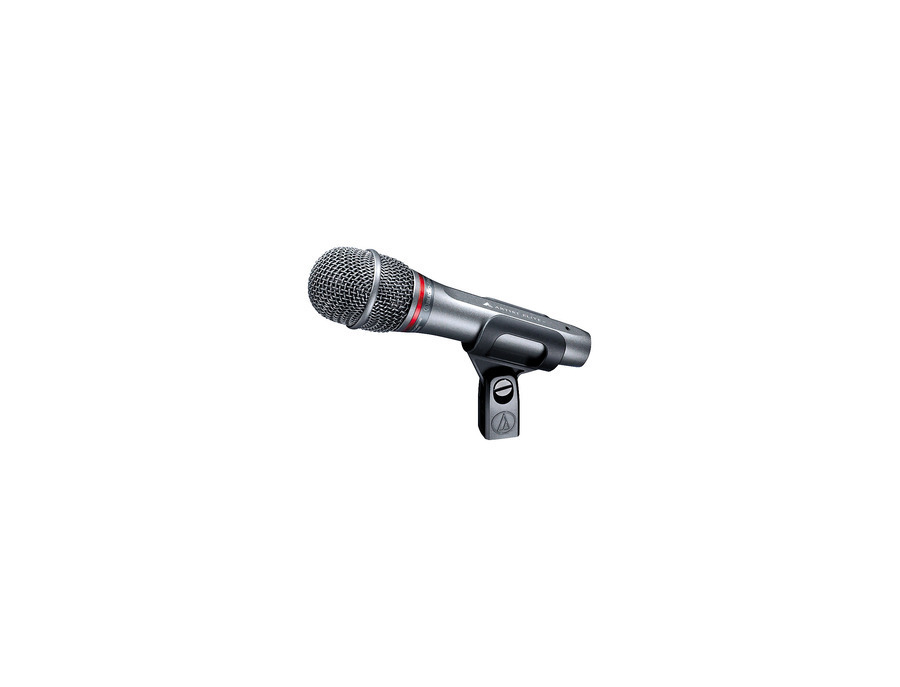 Audio-Technica AE6100 Hypercardioid Dynamic Microphone - What To