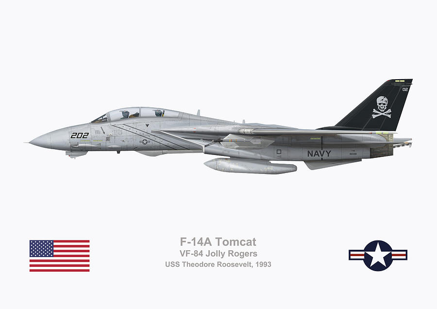 航空機・ヘリコプター DELUXE BIG-1 GUM F-14A TOMCAT DELUXE BIG-1