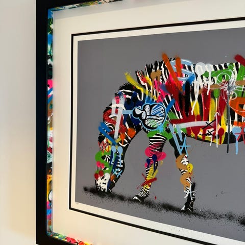 Martin Whatson Zebra | FINN-torget