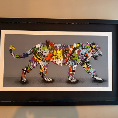 Martin Whatson Zebra | FINN-torget