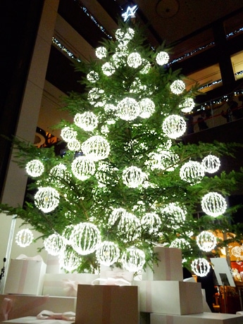 イルミネーション クリスマスツリーとアースカラーのクマちゃん