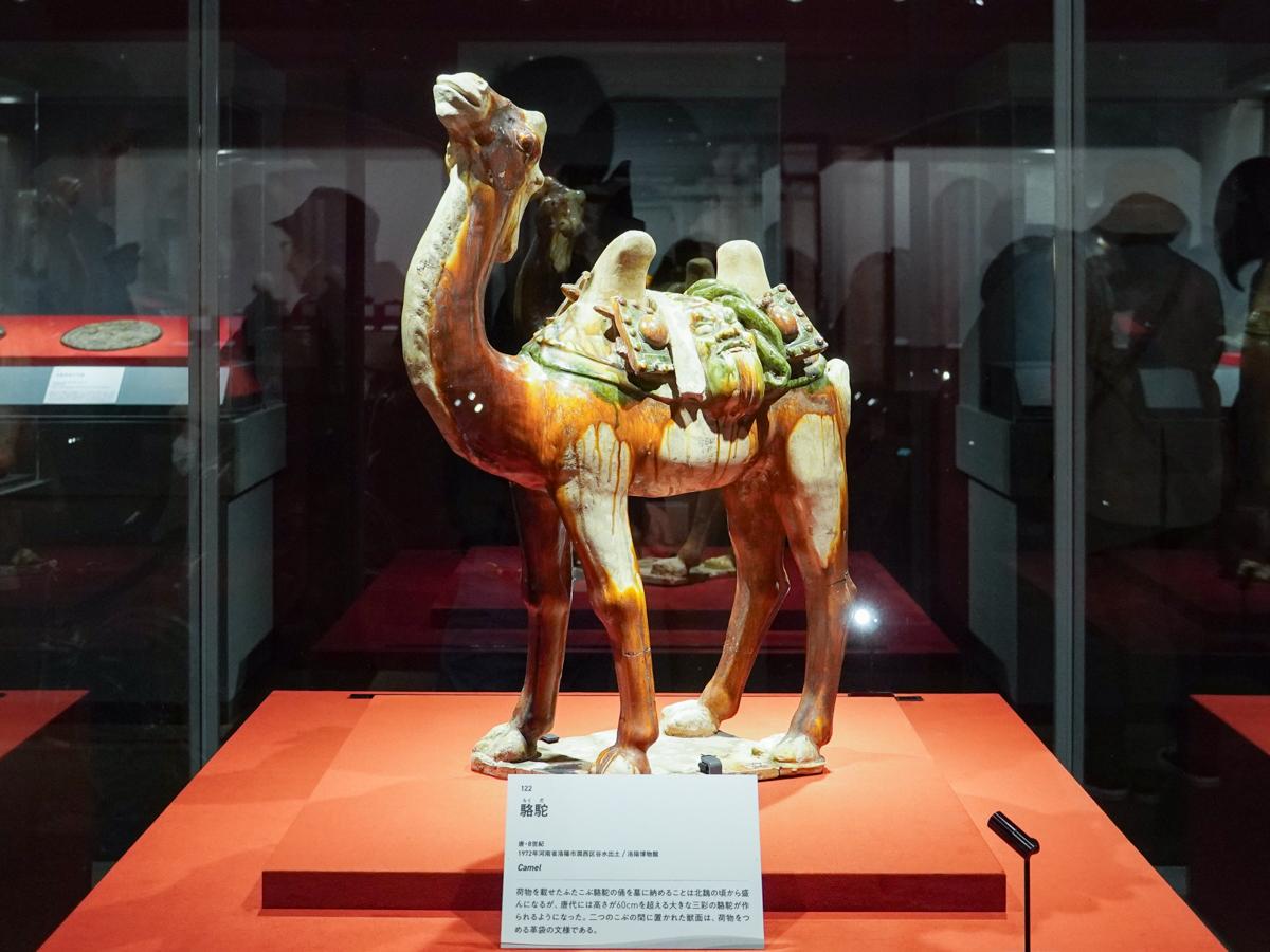 東北歴史博物館で「大シルクロード展」 日本初公開含む200点を展示