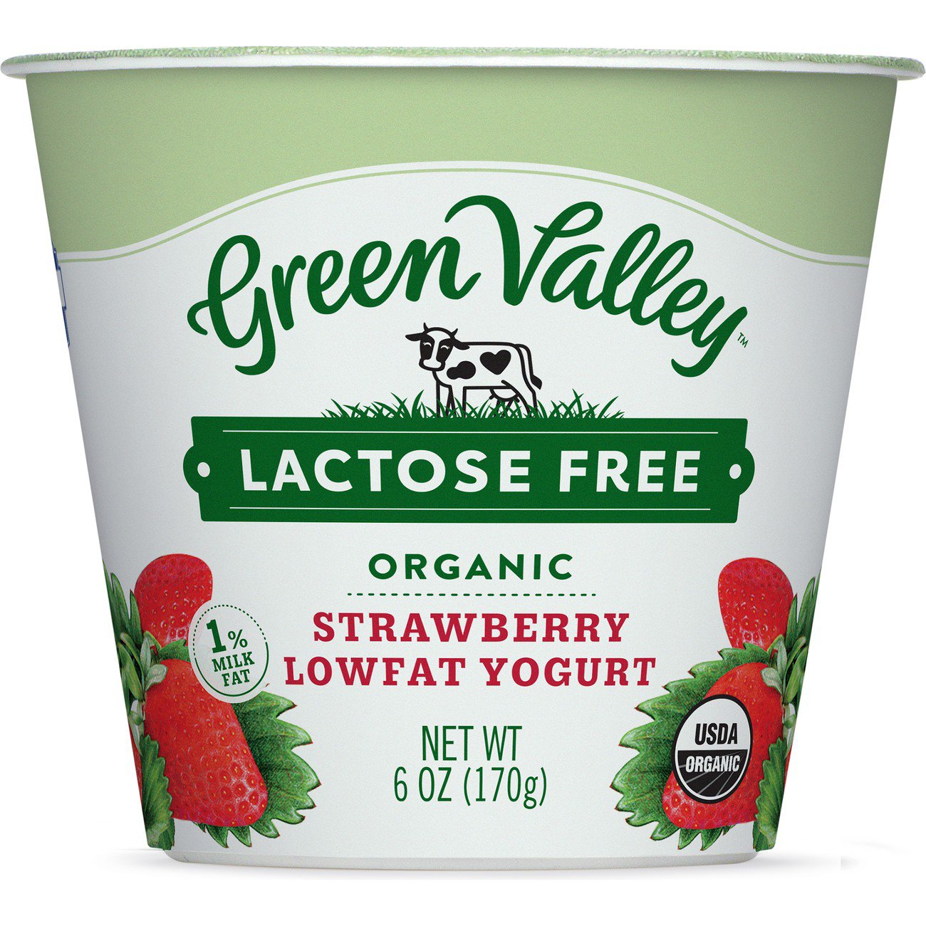 Green Valley Lactose Free Organic Strawberry Lowfat Yogurt, 6