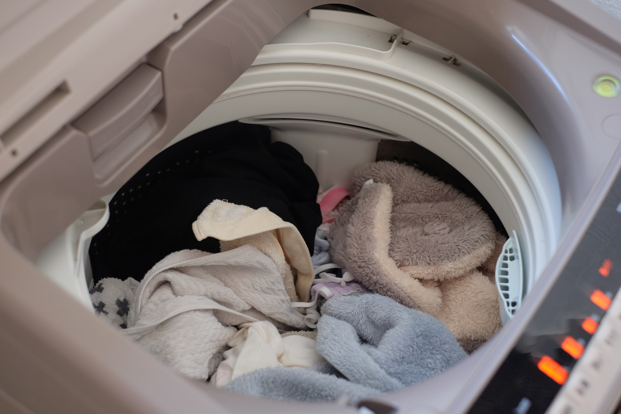 式衣類乾燥機 ホワイト 前開き. 2024年 式衣類乾燥機 ホワイト 前開き