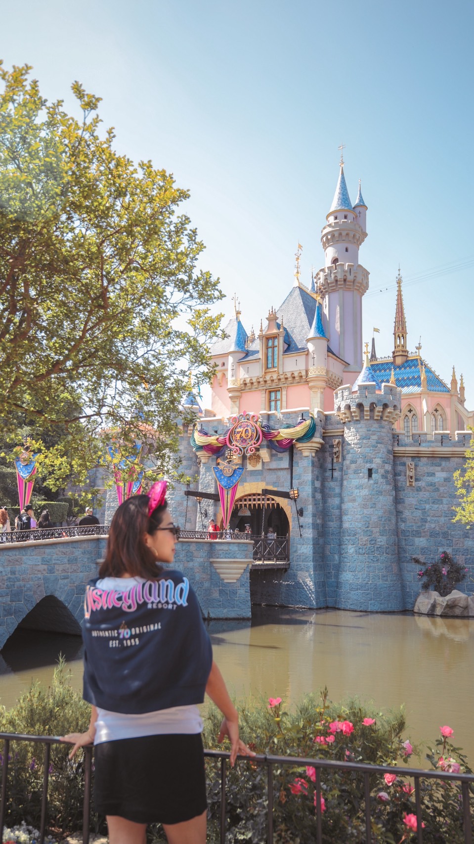 2025年最新レポート】今しか出会えないハッピーが満載