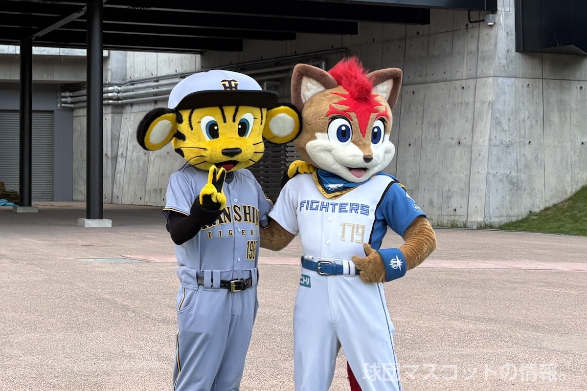 トラッキー 名刺 阪神タイガース 公式 阪神百貨店でトラッキー君直接