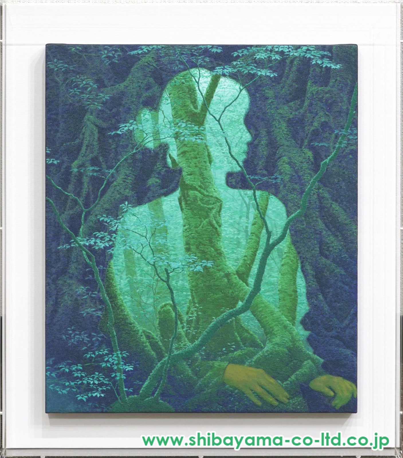 16527_f5795820780c12df50266891