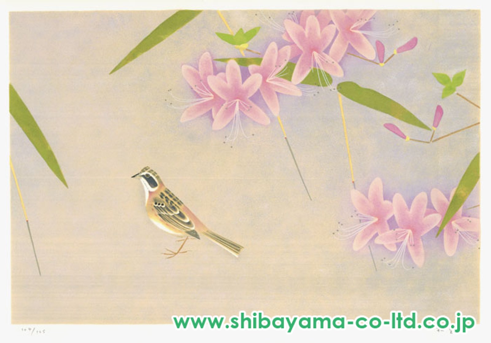 春秋花島四題クチナシ上村松篁