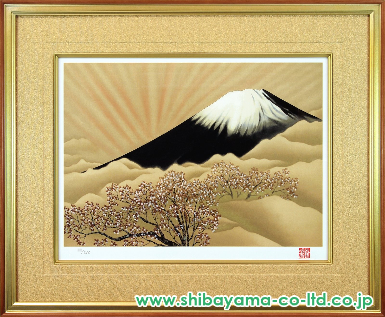 9508_3c2727bb7d983d0b0bc4fc42c