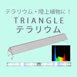 アクロ TRIANGLE LED BRIGHT 600 専用ライトスタンドセット 60cm水槽用