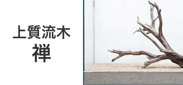 GEX 天然流木 SSサイズ(約15~20cm) 1本 形状お任せ 水槽用アクセサリー