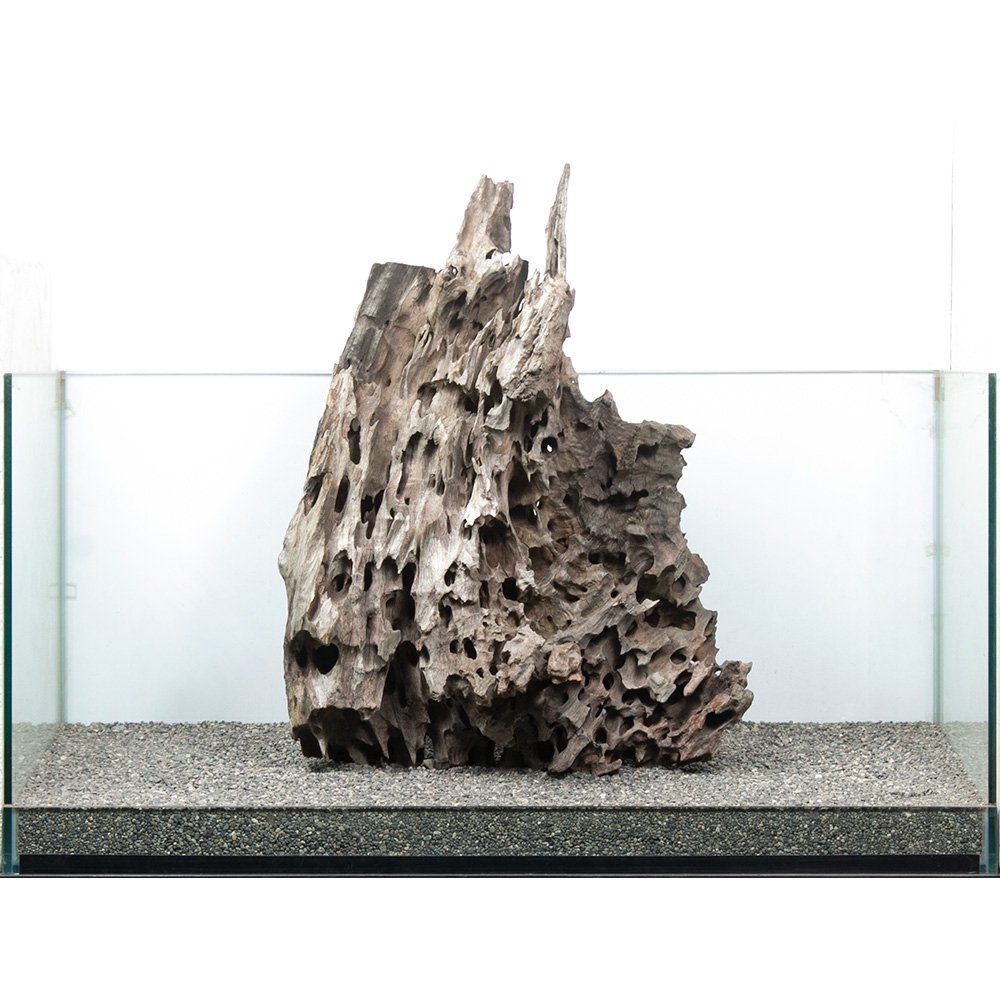 一点物 大型水槽用 ハニカムウッド 859214 | チャーム