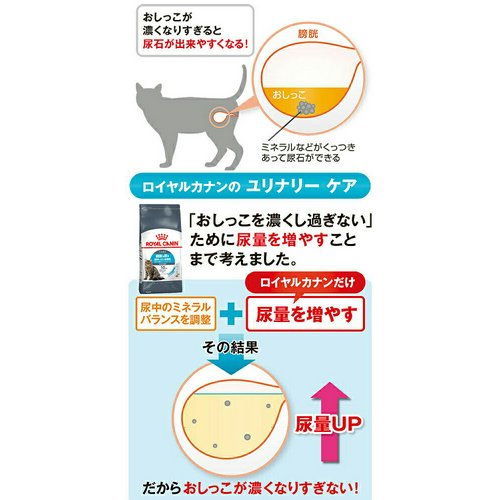めいぷるさま ロイヤルカナン健康な尿を維持したい猫用 ドライフード