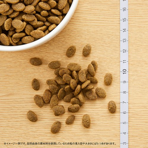 ニュートロ 猫 ナチュラルチョイス 穀物フリー アダルト チキン 2kg