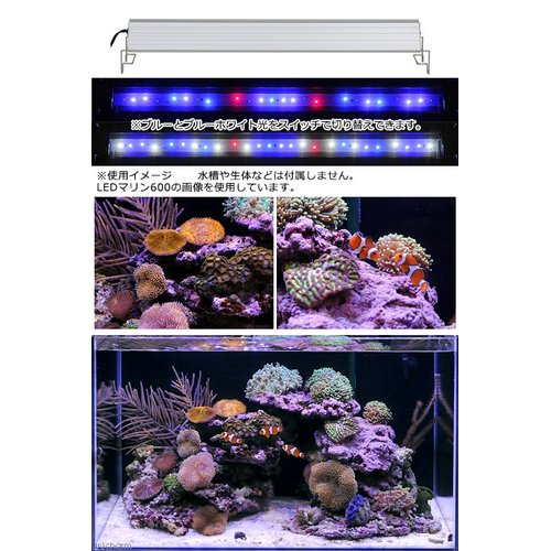 アクロ TRIANGLE LED MARINE 600 20000K 海水魚 サンゴ 照明 水槽