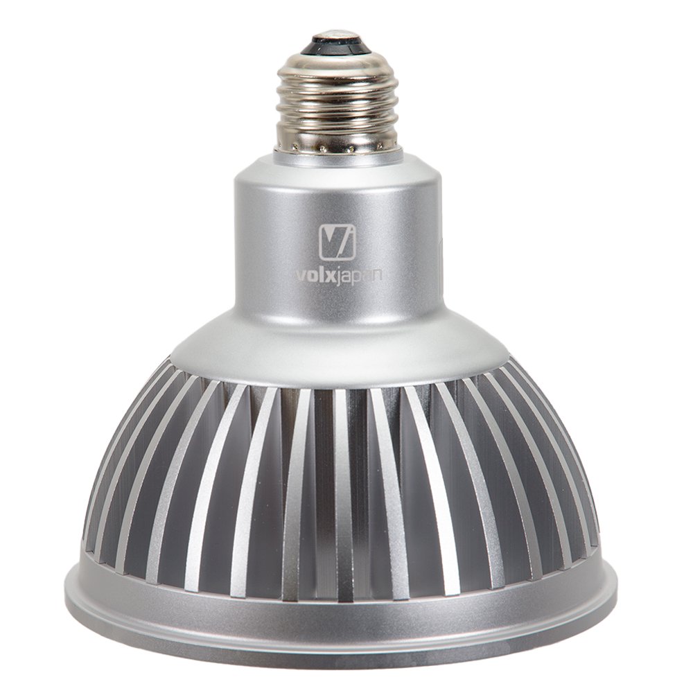 ボルクスジャパン グラッシーレディオRS122（フレッシュW）&レディオ