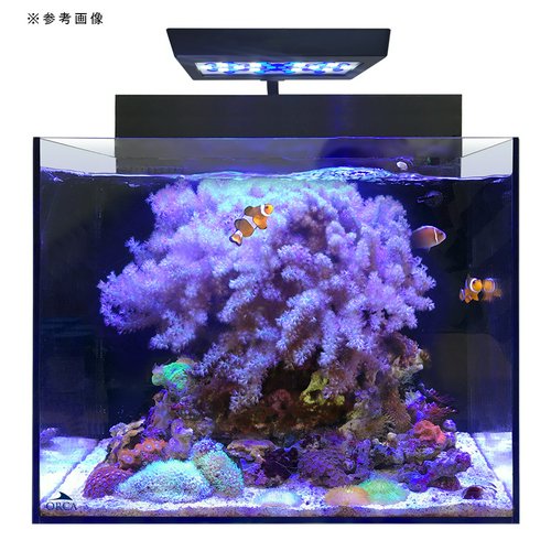 最終お値引！】ORCA オルカShell2 シェル2専用キャビネット ホワイト