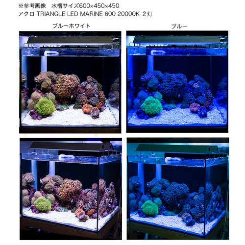 アクロ TRIANGLE LED MARINE 450 20000K 海水魚 サンゴ 照明 水槽