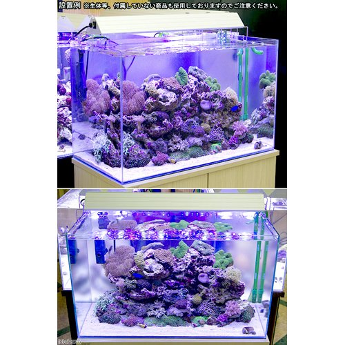 人工ライブロックセット（海水魚、サンゴ、背景、レイアウト、水槽