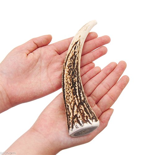 天然鹿の角 端材まとめ 犬用おもちゃ などに 天然鹿の角