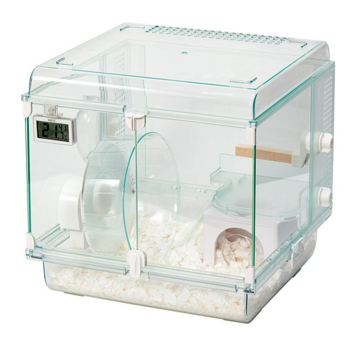 GEX ハビんぐ グラスハーモニー300Cube ハビんぐフルセット(31.4×30.7