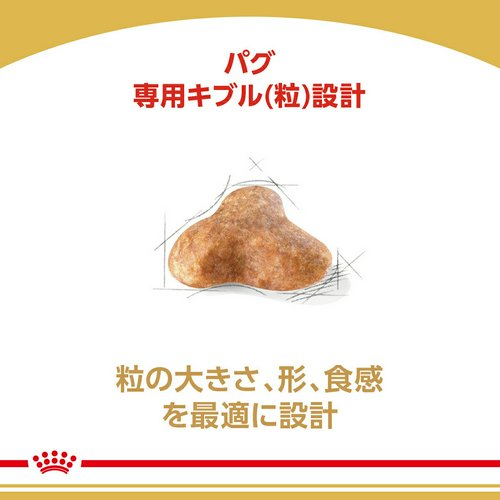 ロイヤルカナン パグ 成犬高齢犬用 1.5kg 3182550752404 ジップ付