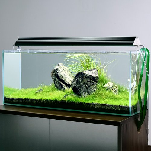 相談中 引取限定 90センチ水槽セット