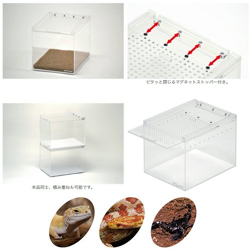 三晃商会 レプタイルボックス ハーフ 爬虫類 飼育ケース ツノガエル 奇
