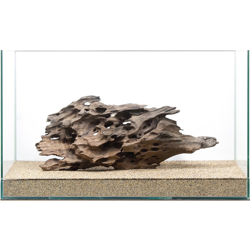 60cm水槽用 | チャーム