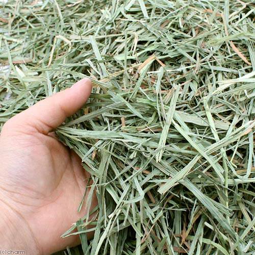 ゴールドヘイミニべイル(2番刈り) 680g 青パケ アメリカンペット