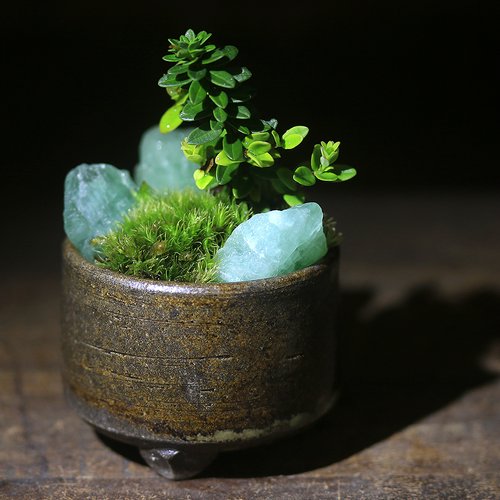 ミニ盆栽鉢 小品盆栽 桑津香石 絵鉢 椿 菖蒲 山野草 ミニ盆栽鉢 小品