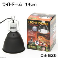 GEX カメレオン飼育11点セット エキゾテラスクリーンテラリウム