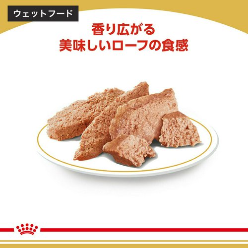 ロイヤルカナン チワワ 中高齢犬用 ドライフード 3kg ジップ付+パウチ6