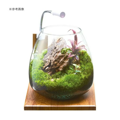 GEX グラスアクア ティアー N 20cm テラリウム 小型水槽 ガラス水槽
