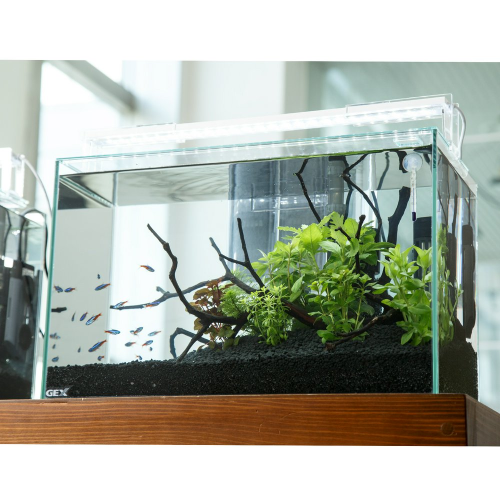 大型ガラス水槽セット 熱帯魚 海水魚 爬虫類