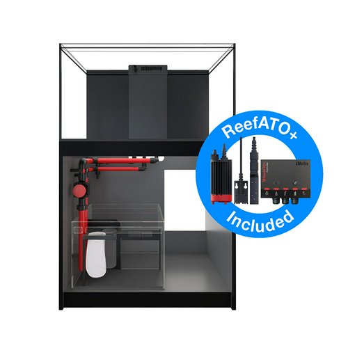 レッドシー REEFER 250 G2+ ブラック 代引不可 200 3個口 | チャーム
