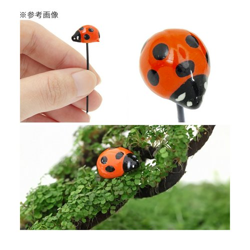 油絵 専用 てんとう虫を見ている猫 キュービックピュアコットン